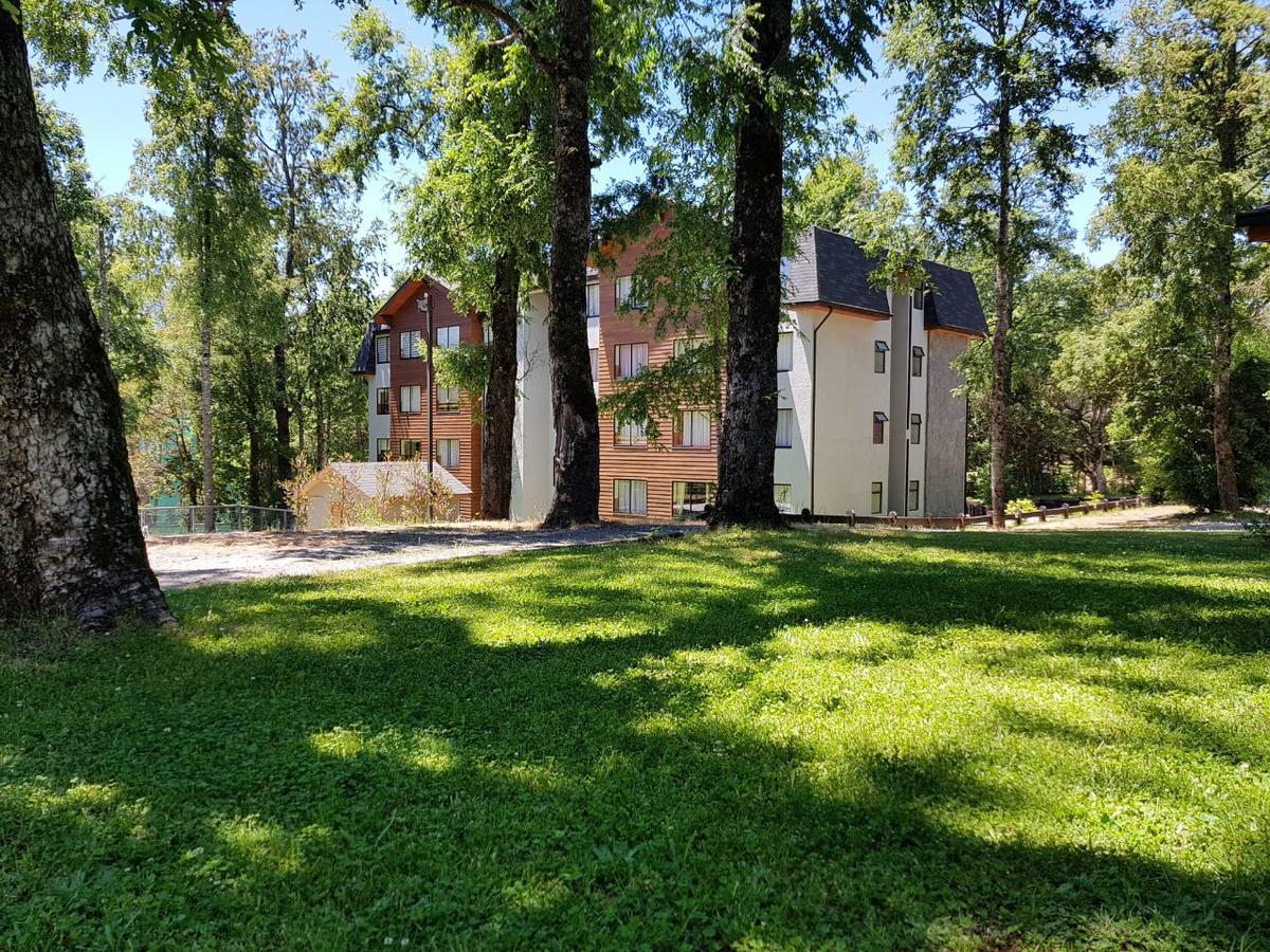 Depto Parque Suizo 800 Appartement Pucón Buitenkant foto