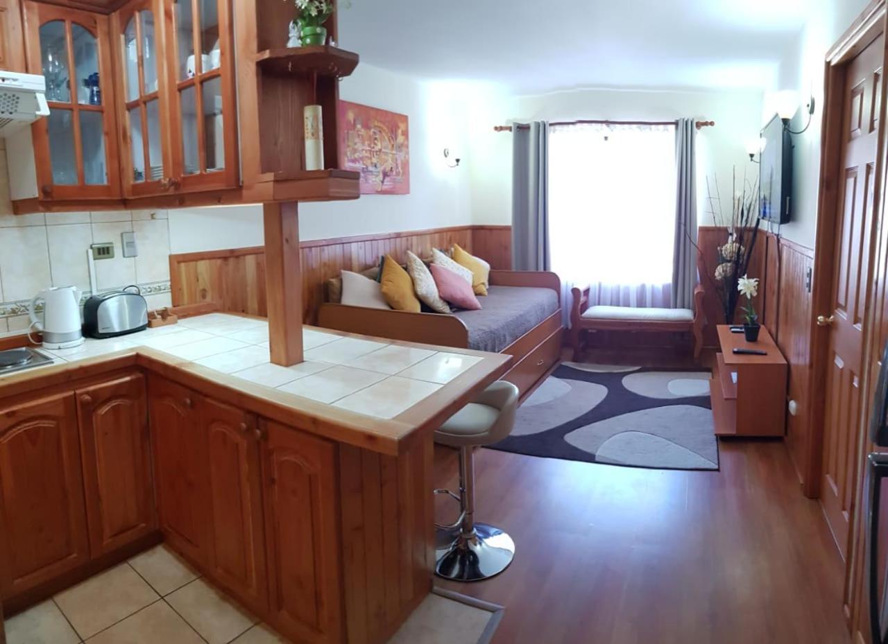 Depto Parque Suizo 800 Appartement Pucón Buitenkant foto